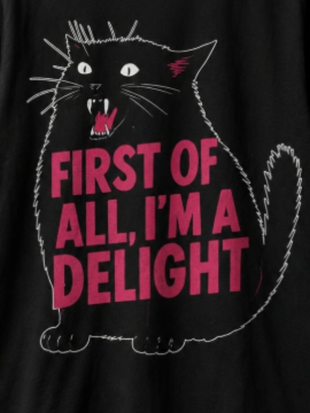 Funny Black Cat Graphic Tee First Of All Im A Delight Vintage Humor Shirt - Picture 2 of 2